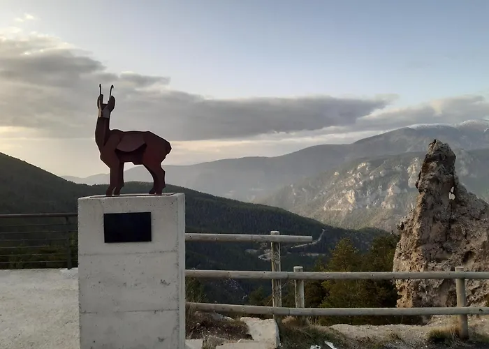 Coll De Port